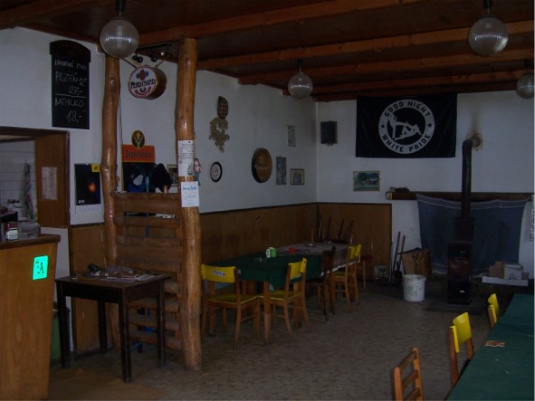 pallasit2
