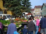 farm1