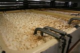fermenting