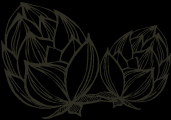 Symbol chmel